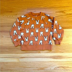 Hanna Andersson Sweater